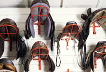 tackroom.jpg