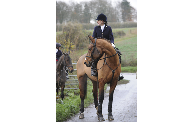 VineandCraven_Hunting14pn_52097