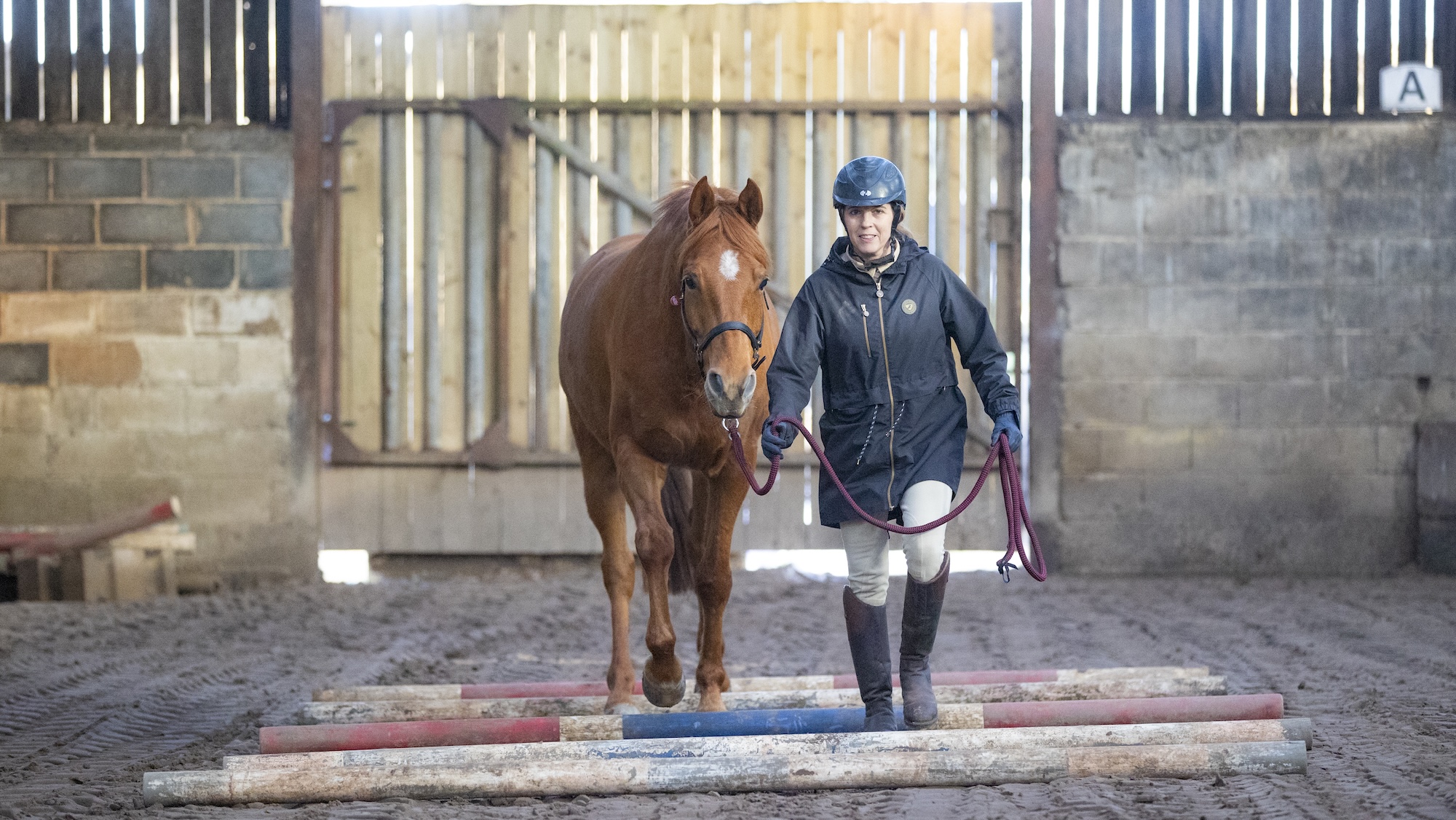 Emma Martin leading chestnut horse over ground poles
