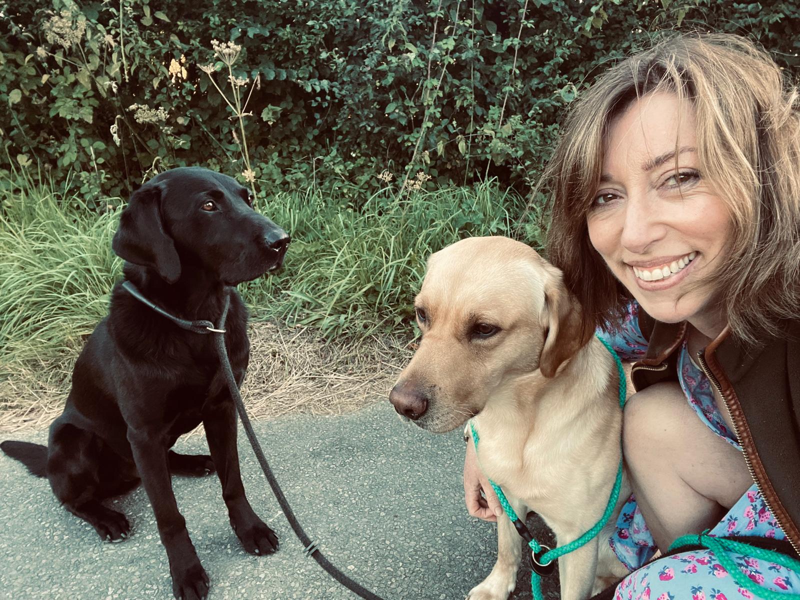 A black labrador, yellow labrador and Paula Minchin