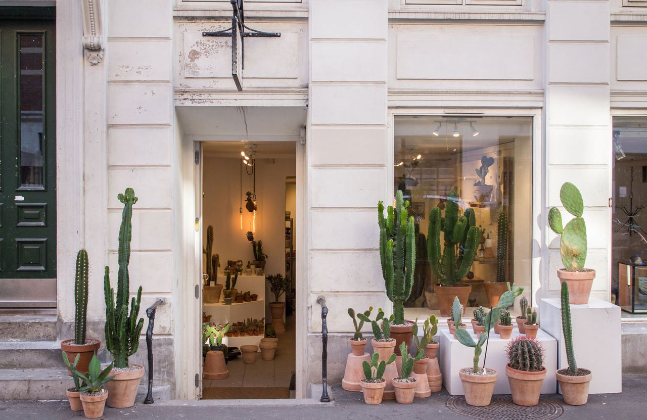 Kaktus København opens succulent new concept store