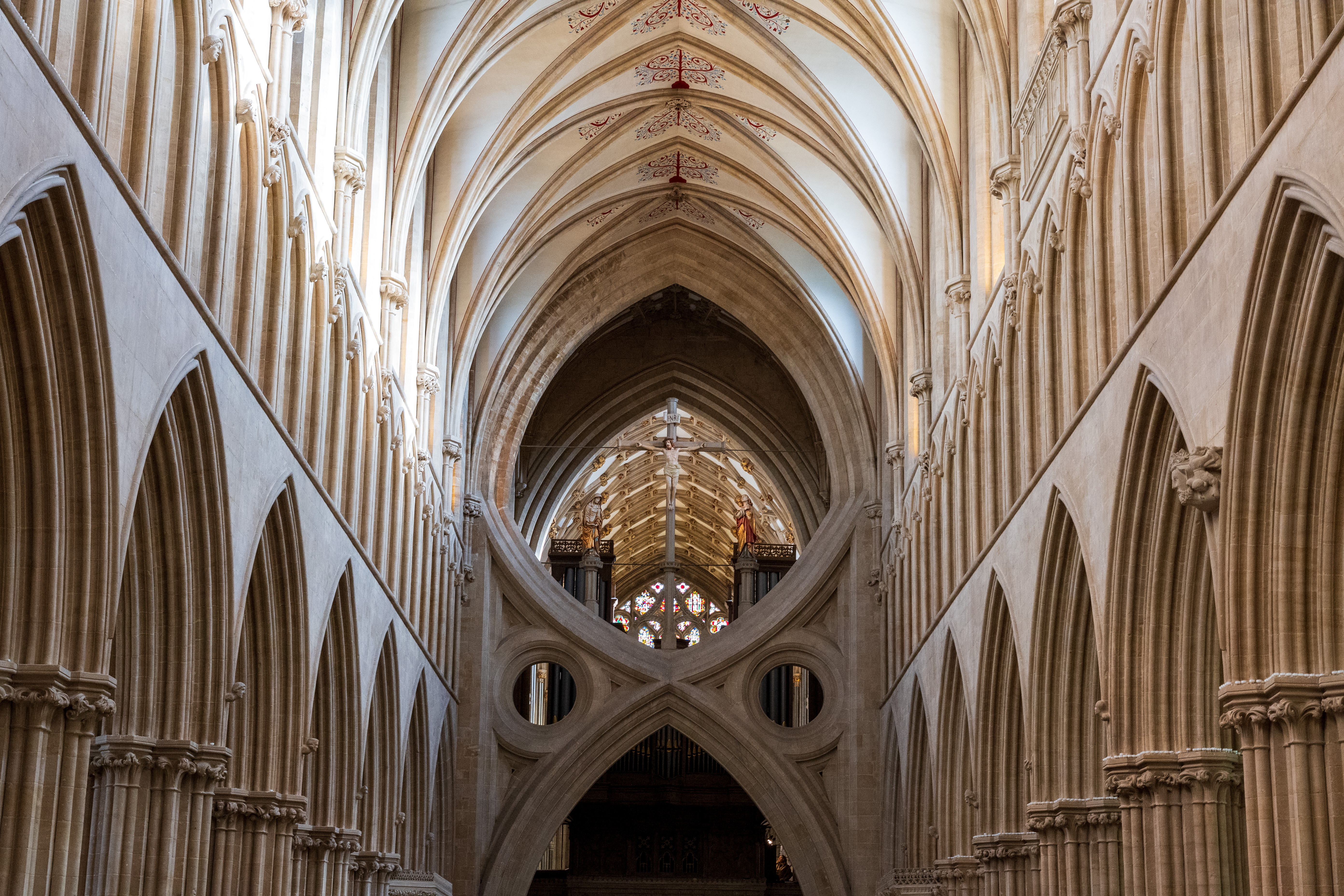 Nikon Z DX MC 35mm f/1.7 example shot