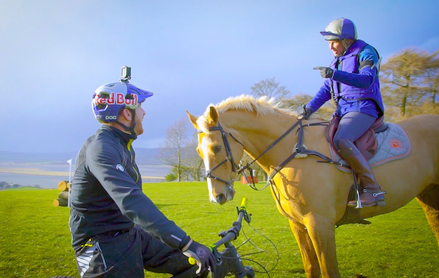 BikeVHorse.jpg