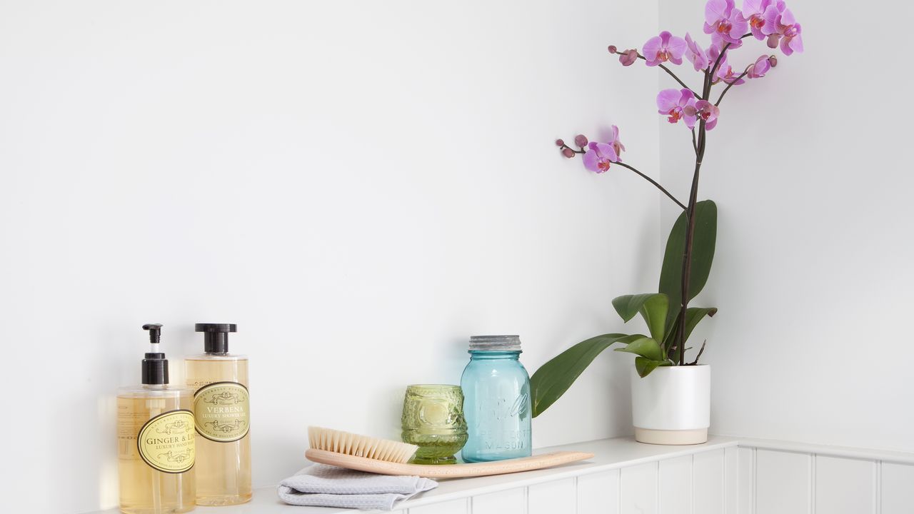 Pink orchid in a white pot on a tiled shelf in a white bathroom along with bottles and toiletries