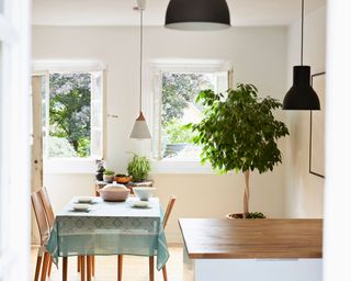 how to get rid of flying insects in your home - kitchen diner open window - GettyImages