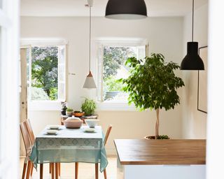 An open-plan kitchen diner with dining table, indoor houseplant and multiple light fixtures