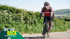 Lead image for april's off the back podcast roundup, which features the off the back logo in the bottom left hand corner, and a Ai generated Hippo sat on a bike riding along an english country lane