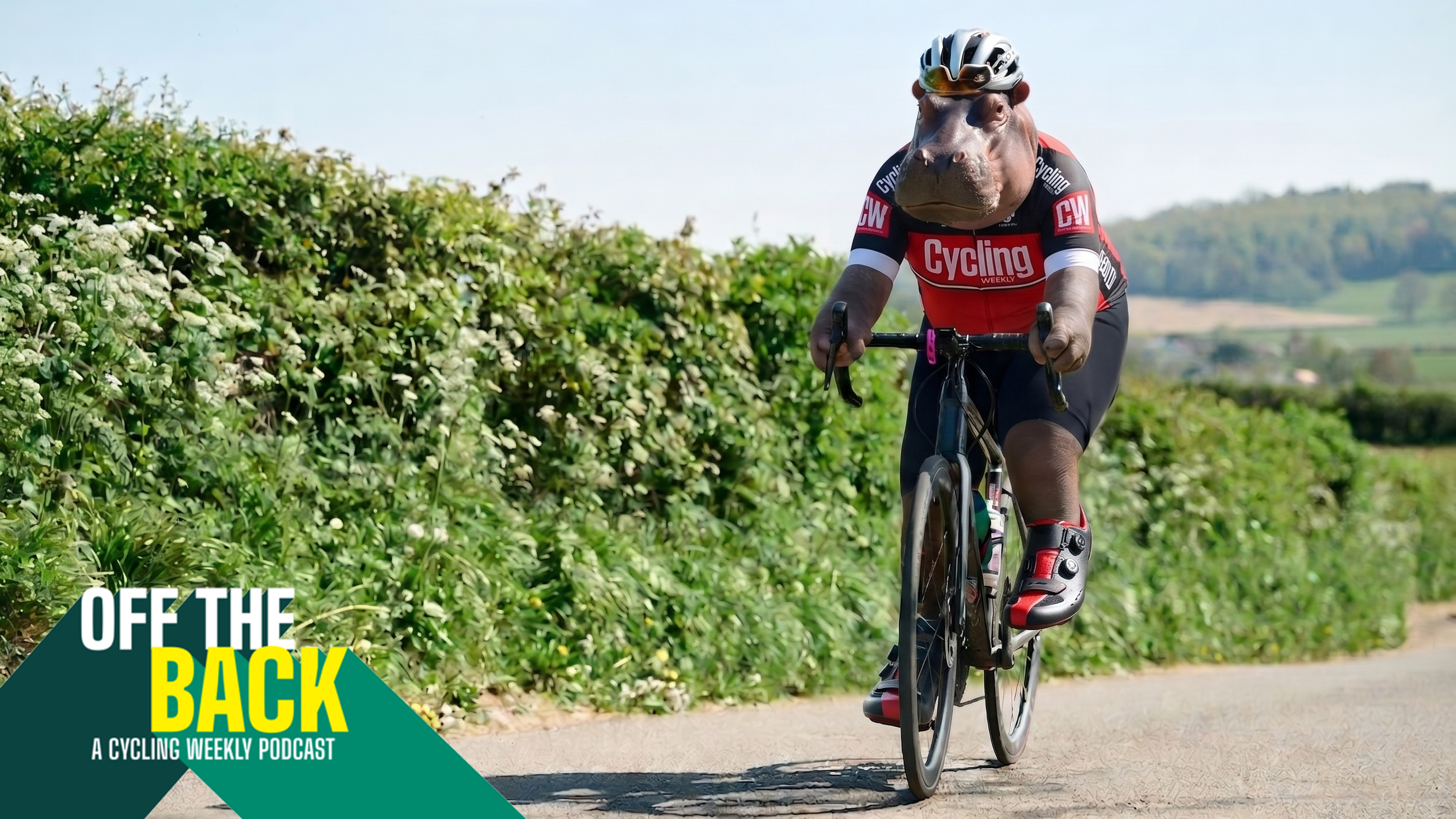 Lead image for april's off the back podcast roundup, which features the off the back logo in the bottom left hand corner, and a Ai generated Hippo sat on a bike riding along an english country lane
