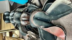 New-Forest-horse-tack-theft.jpg