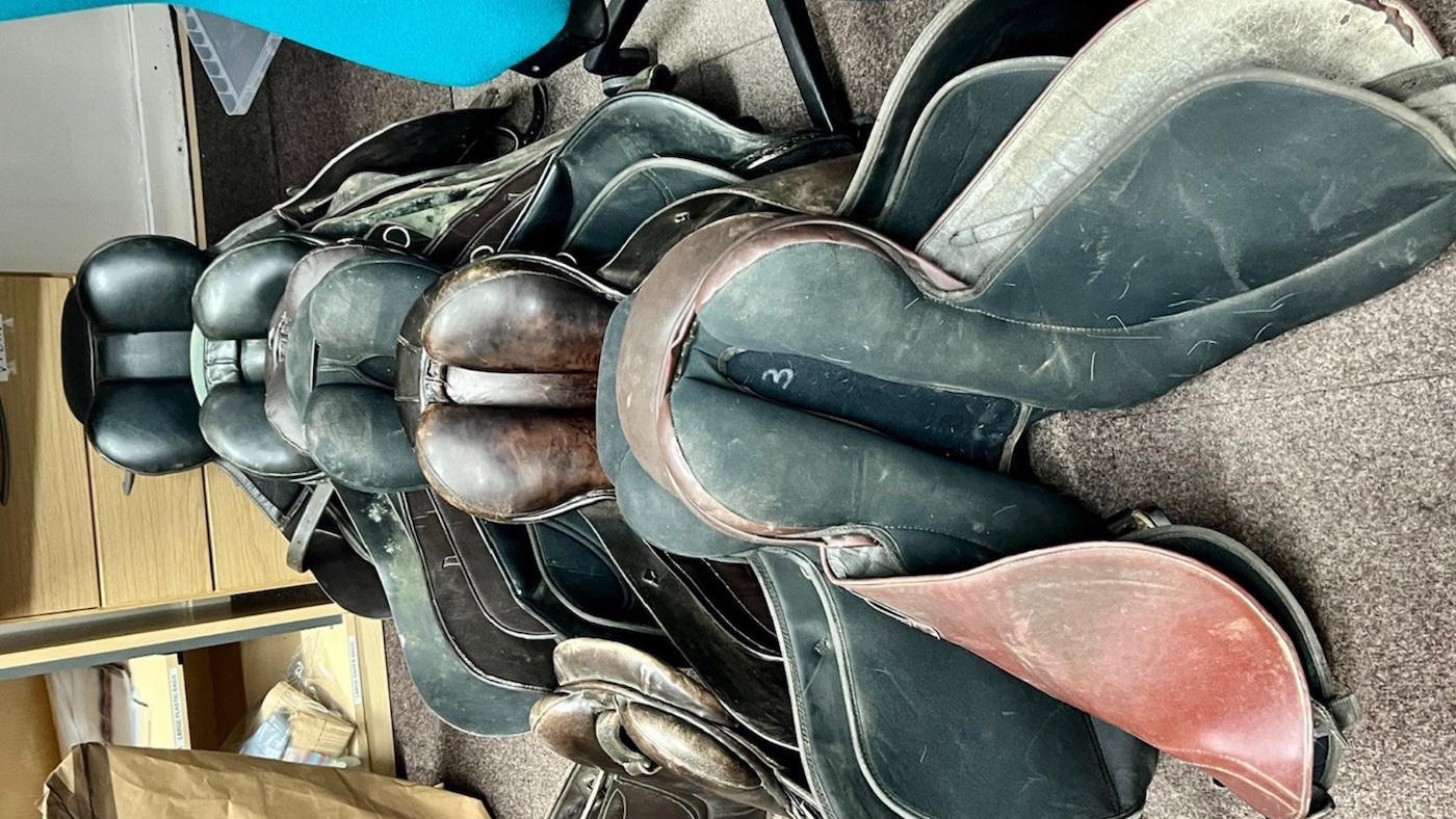 New-Forest-horse-tack-theft.jpg