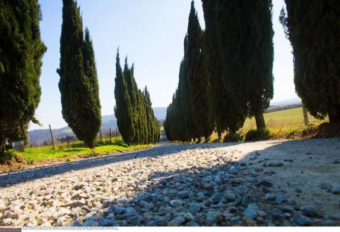 Strade Bianche