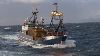 watch Deadliest Catch online