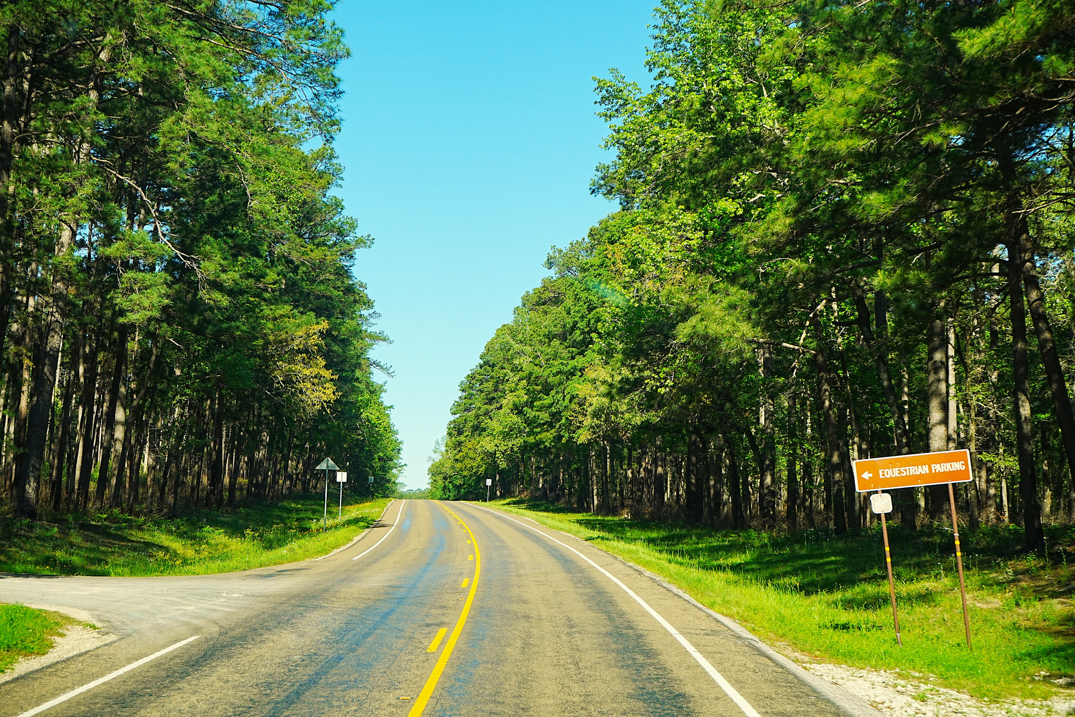 Drive through North East Texas, including Angelina National Forest, with "Equestrian Parking" sign