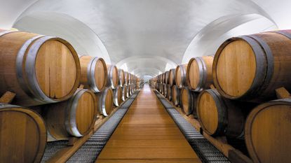 Feudi di San Gregorio winery in Italy: barrels stored in white-ceilinged space