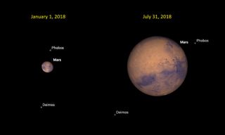 Between the start of the year and the end of July, Earth will slowly catch up to Mars, causing its disk in the night sky to grow five times larger in apparent size. At the same time, Mars will become 50 times brighter to the naked eye! Mars' two moons, Phobos and Deimos, are far dimmer than the planet itself, but a large-aperture telescope can reveal them near the time of Mars' opposition.