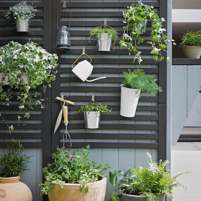 Slatted fence with plant pots and watering can hanging from it