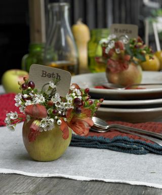 Outdoor dining ideas with apples used as flower and place name card holders on grey tablecloth
