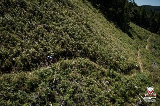 Racing through an Alpine meadow