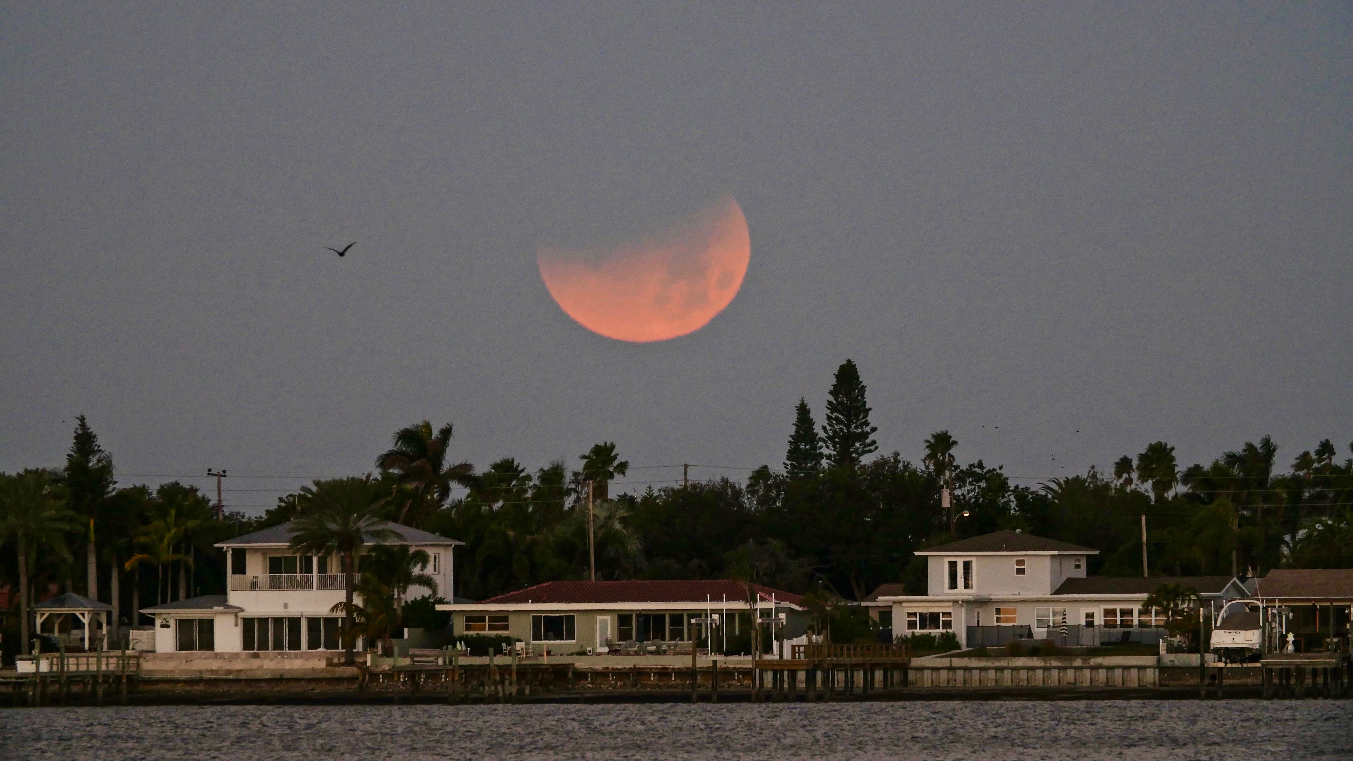 Lunar eclipse