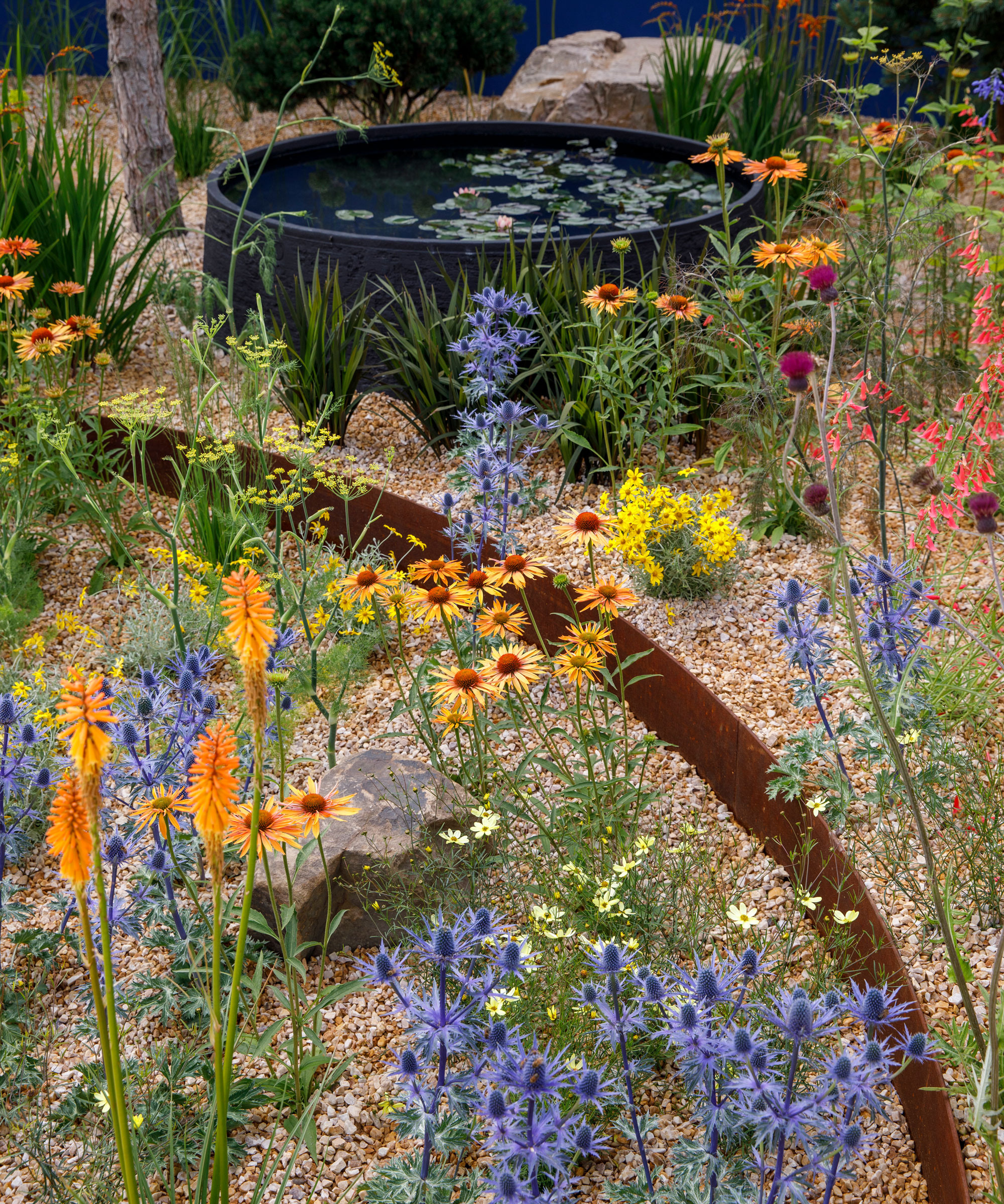 gravel garden design with drought tolerant planting including red hot pokers and sea holly, with corten steel edging and water feature