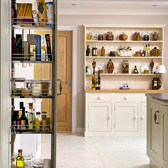 kitchen with storage and shelves
