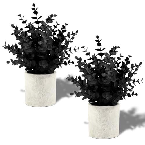 2-pack Black Fake Eucalyptus