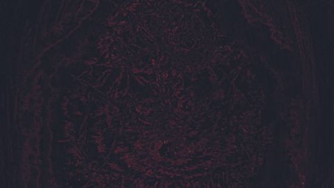 Cover art for Impetuous Ritual - Blight Upon Martyred Sentience album