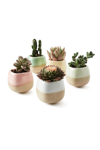 Colorful Ceramic Pots 