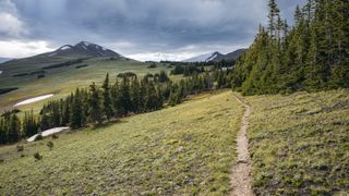 Hiking trail in the James Peak Wilderness, Colorado