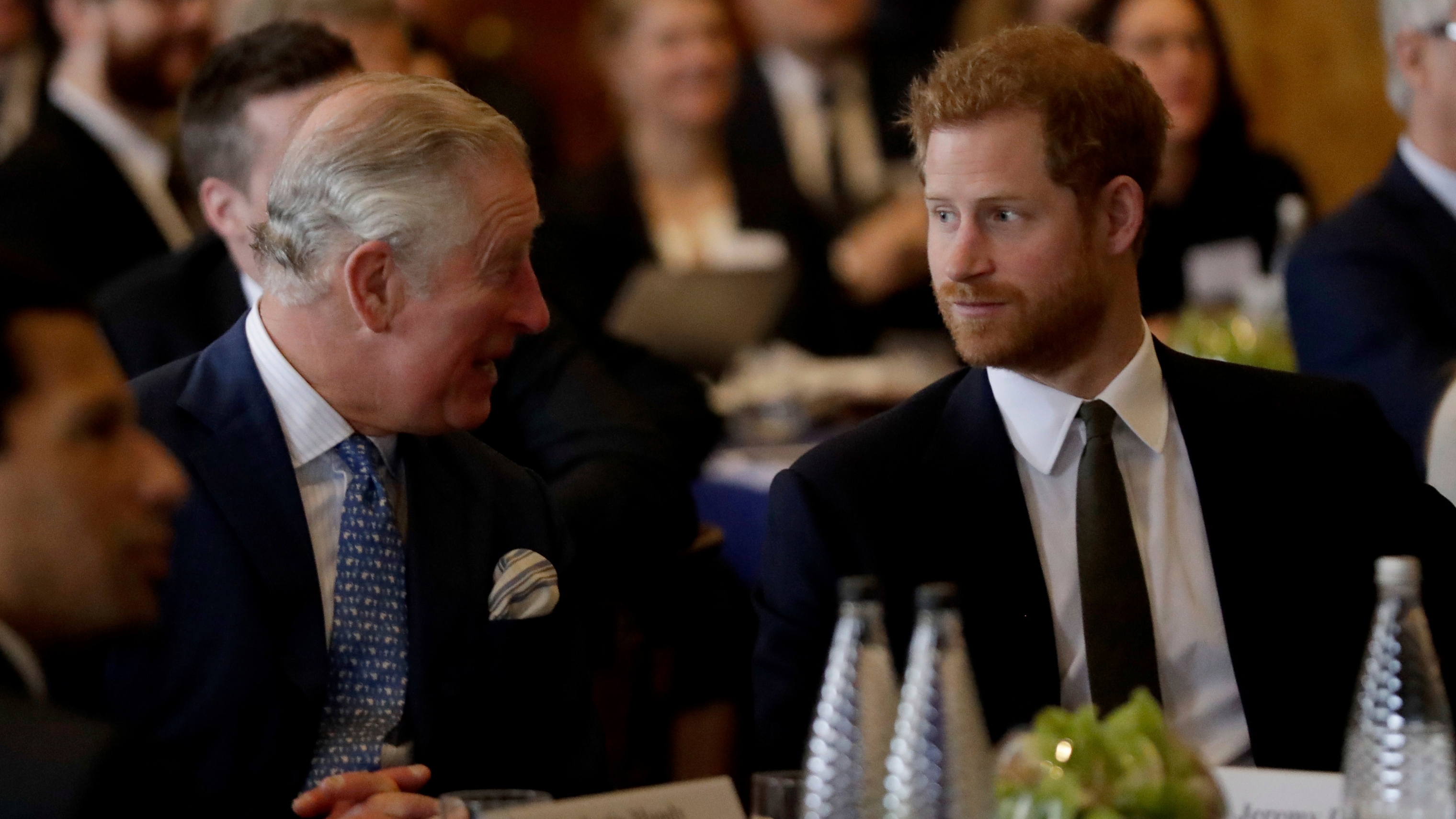 Prince Harry and King Charles attend the &#039;International Year of The Reef&#039; 2018 meeting
