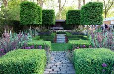 A garden with a brick path, box hedges, and four pleached trees
