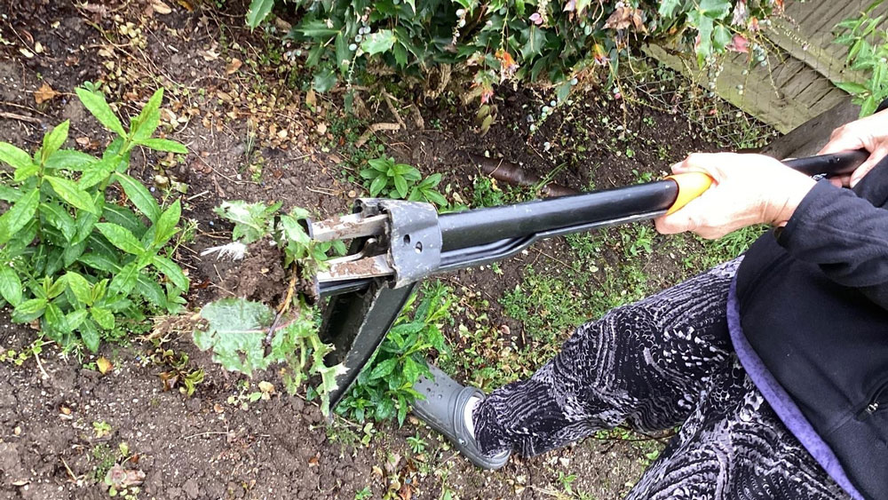 woman using fiskars weed puller