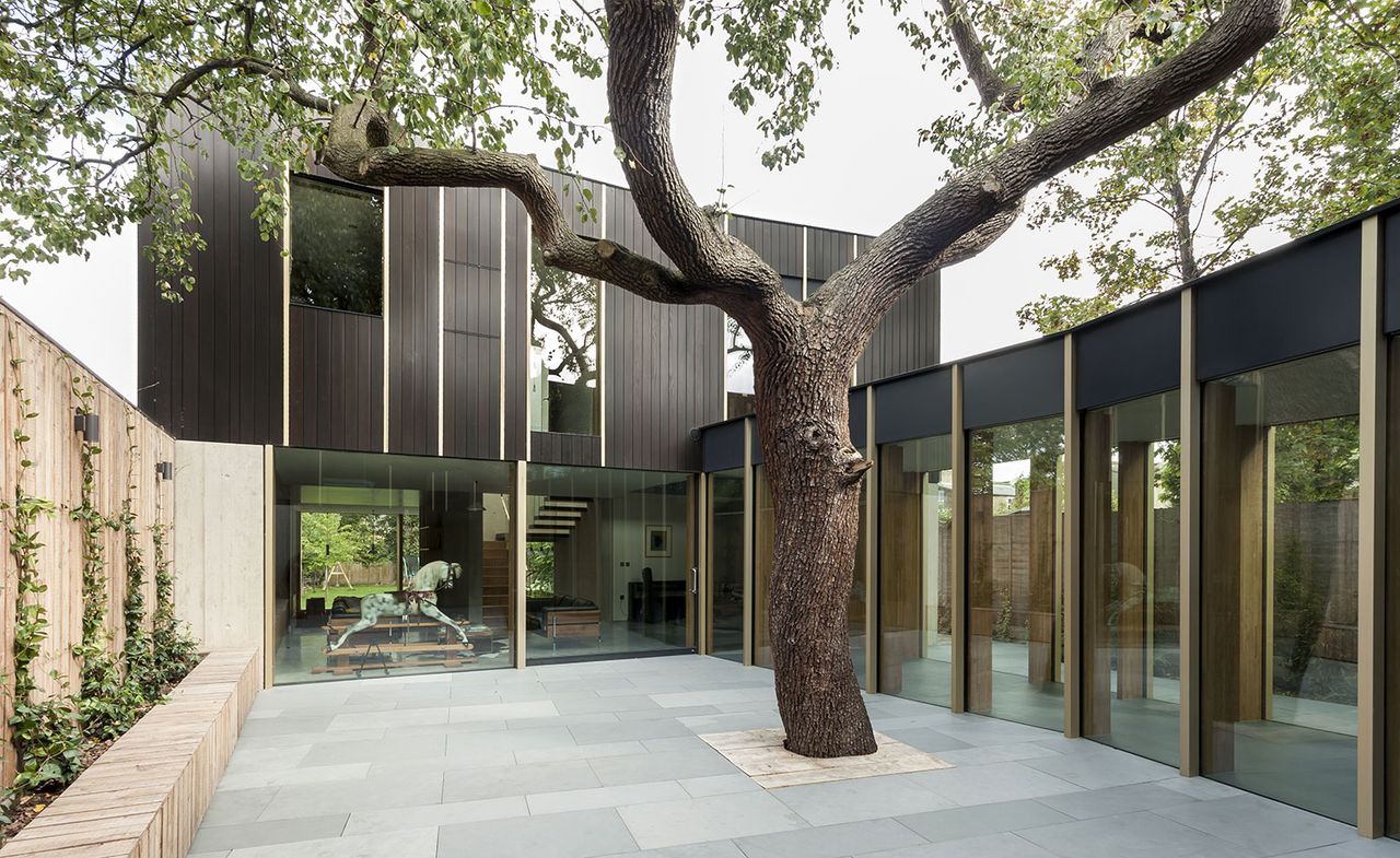 pear tree in the house’s courtyard