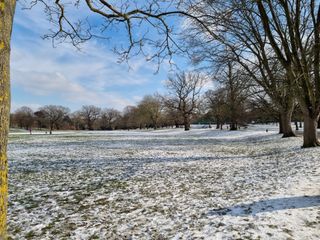 Samsung Galaxy S21 camera samples