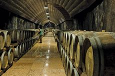 Cantina di Soave barrel room