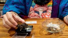 A man weighs a psychedelic mushroom. 