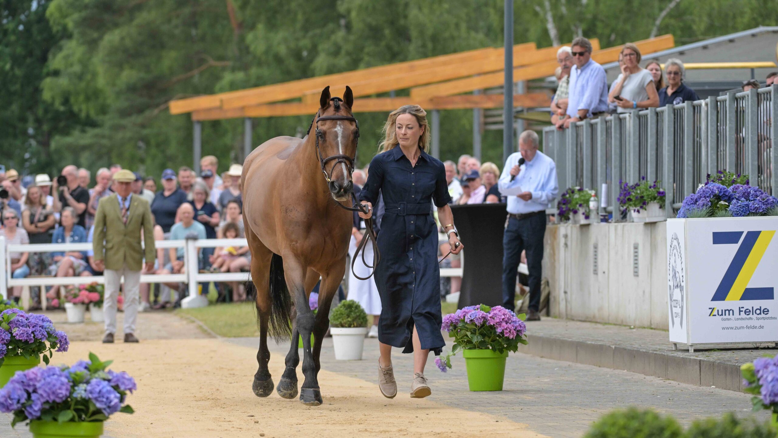 British rider Caroline Harris pictured at the CCI5* Luhm&amp;uuml;hlen Horse Trials final-trot with her horse D. Day.