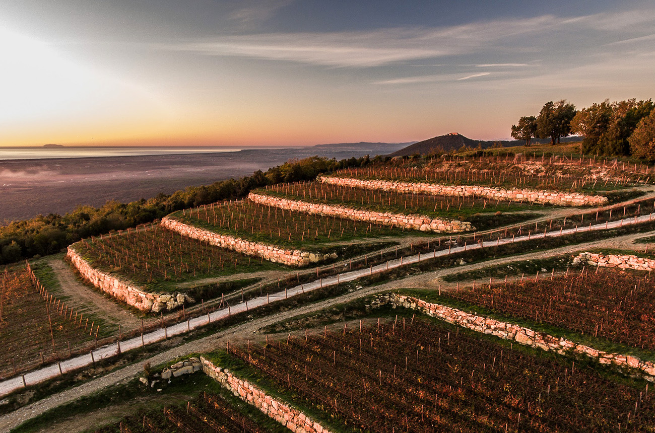 Sunset at Tenuta Sette Cieli