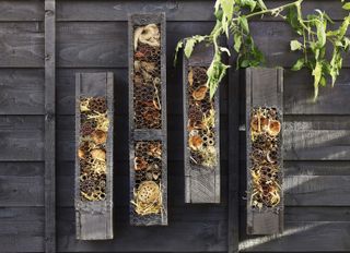 DIY bee hotel on a fence panel from Cuprinol
