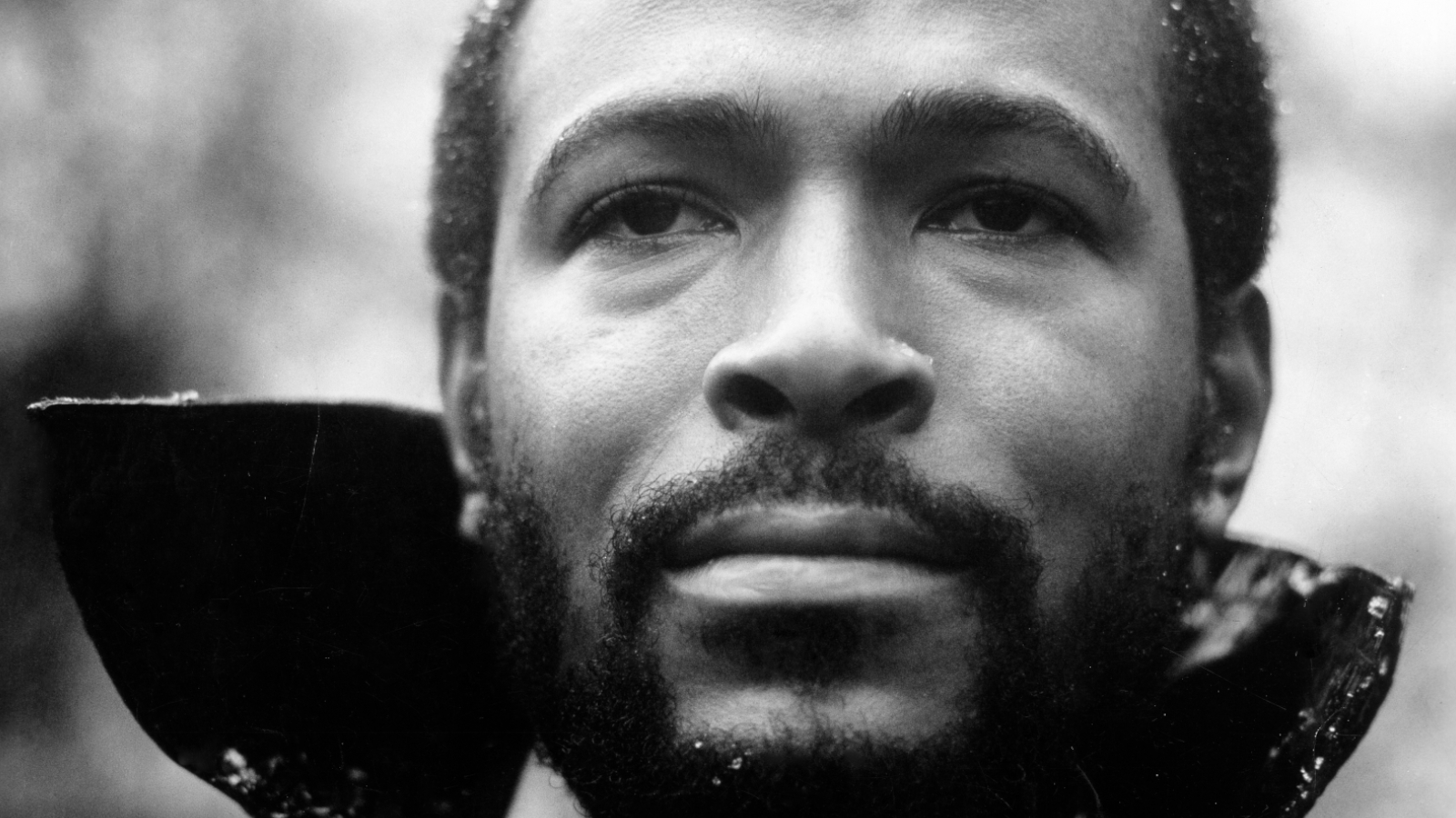 Here’s Why Marvin Gaye’s ‘What’s Going On’ Remains a Perfect Moment in ...