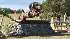 New Zealand Olympic eventing team: Tim Price and Falco have been selected