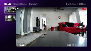 A screenshot of the Roku Camera channel