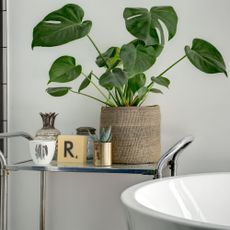 Metal rolling shelf in bathroom with monstera or cheese plant in woven pot, and metallic, white, and brown metallic objects, against white wall next to white bath