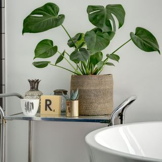 Metal rolling shelf in bathroom with monstera or cheese plant in woven pot, and metallic, white, and brown metallic objects, against white wall next to white bath