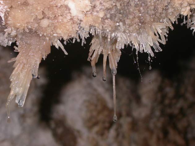 SnotLike Microbes Help Carve Caves Live Science