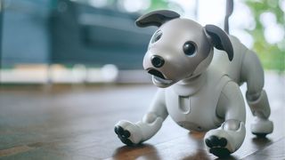 According to Sony, it will take your Aibo about a year to "fully mature" and become more loyal and obedient. Credit: Sony.