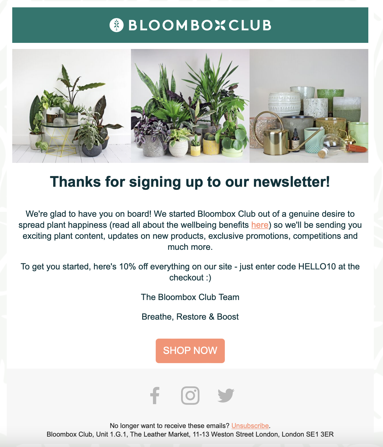 Bloombox email marketing example