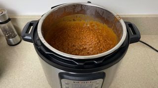 Instant Pot duo plus review