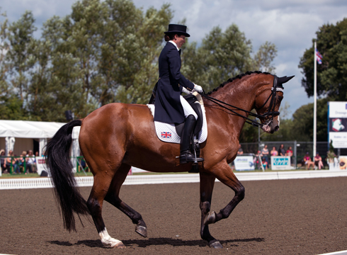 FEI Nations Cup Dressage