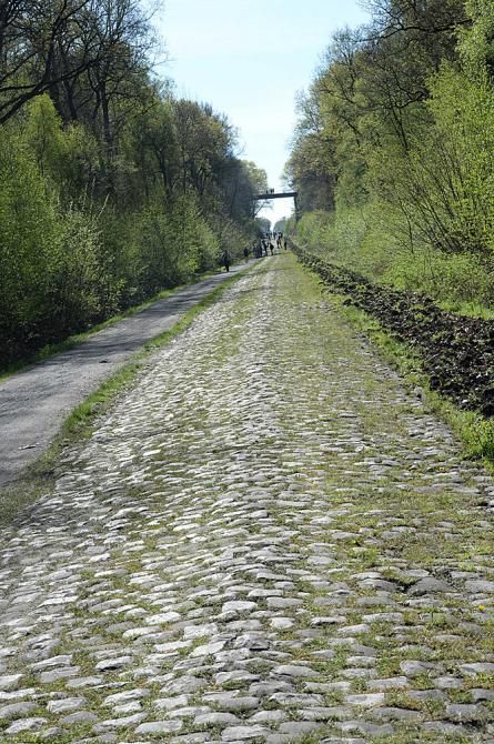 The horrible cobbles of the Arenberg forest